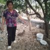 โครงการถังขยะเปียกลดโลกร้อน